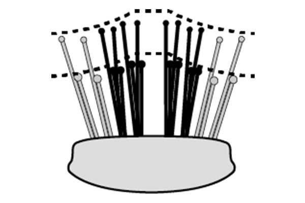 画像2: スカルプブラシ ワールドプレミアム ロング (2)
