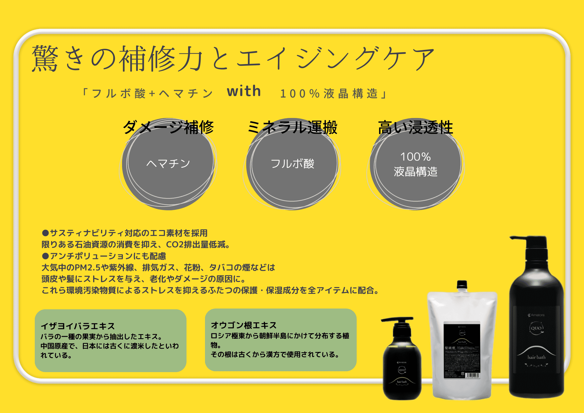 2023.3 Amatora QUO RENEWAL